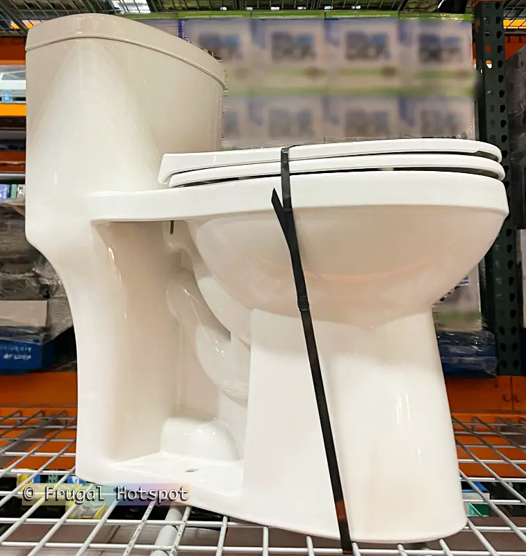 WaterRidge One Piece Elongated Dual Flush Toilet | Costco 918020