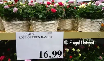 Costco Spring Gardening Deals