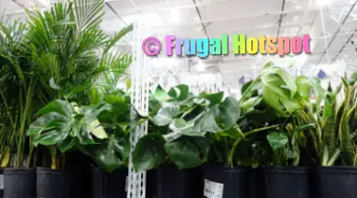 Costco Gardening Deals Spring 2021 | Frugal Hotspot