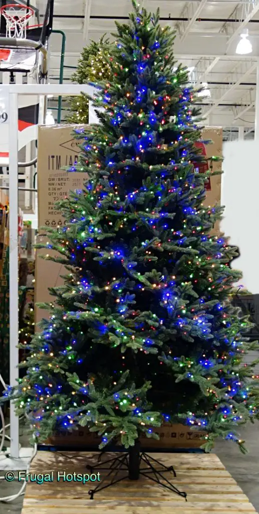 Costco Christmas Tree 2025