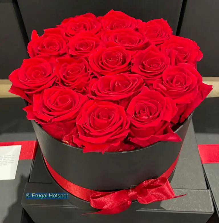 Forever Roses 16 Stem Preserved Roses at Costco!