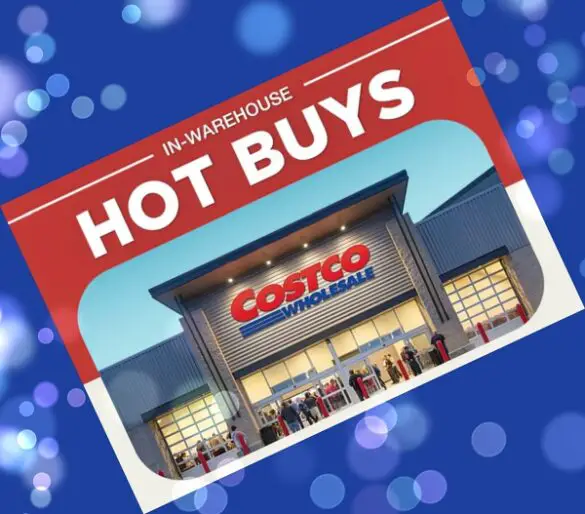 Costco In Warehouse Hot Buys Sale February 2024 March 2024   Costco In Warehouse Hot Buys Sale With Background 585x514 